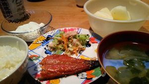 ダイエット食はじめました