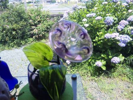 アトリエに朝顔の花 アトリエに朝顔の花