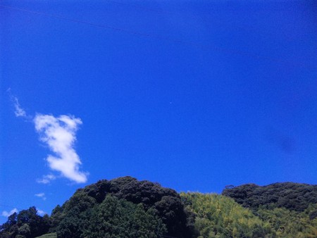 お休みだぁ お休みだぁ