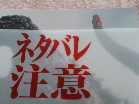 一瞬の高揚から絶望へ 一瞬の高揚から絶望へ