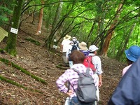大札山登山と自然観察-その2