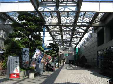 人体の不思議展