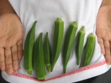 庭を彩ってくれるもの