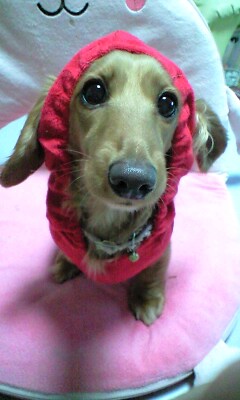 感謝o(^^o)(o^^)o
