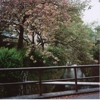 法然院の写真