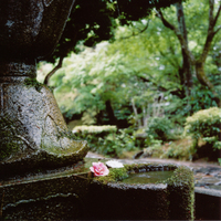法然院の写真