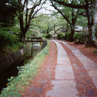 法然院の写真