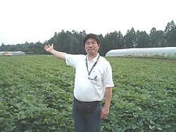 やきいも (石井さんのさつまいも)
