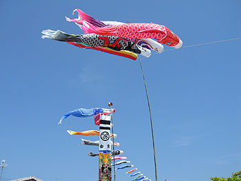 こいのぼり(宮崎の空を泳いでいました!)