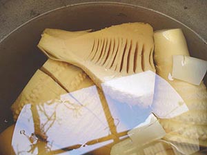 掘りたて茹でたてタケノコ