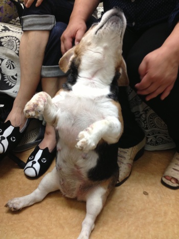 26日27日のお客様♡