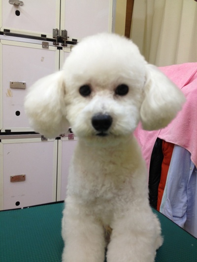 本日のお客様!!