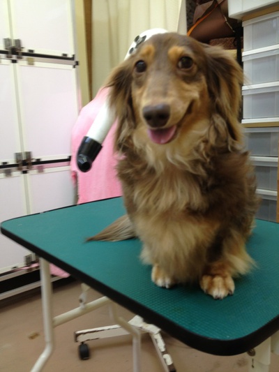 本日のお客様!!
