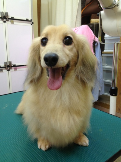 本日のお客様!!