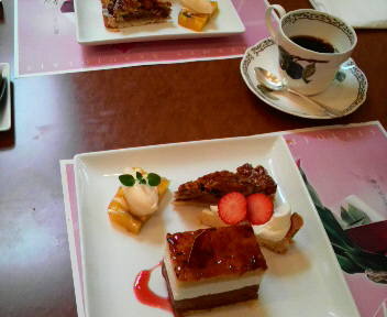 今日のお出かけⅡ