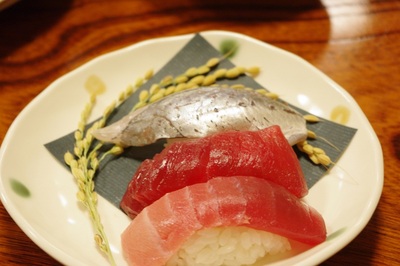南鮪、用宗の鯵
