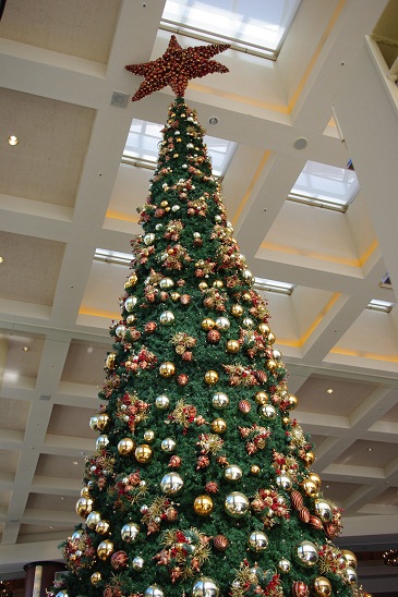 2010クリスマスツリー!!