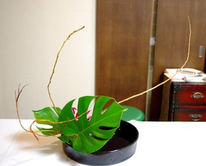 自由表現でいける