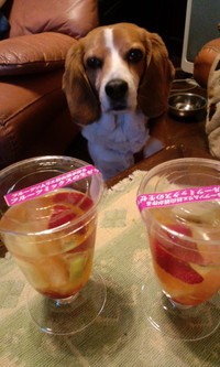 今日のデザート