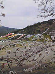 僕の週末....。