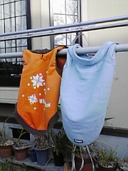 小さなお洗濯もの