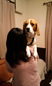 お帰り...