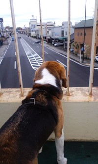 新たなお気に入り...。