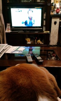 サッカー大好き...。