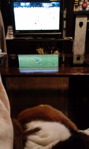 サッカー大好き...。