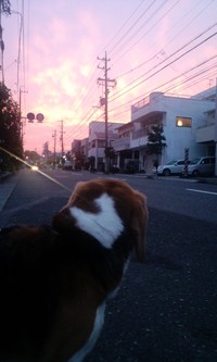 夕焼け...。
