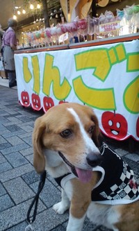 今年も七夕...