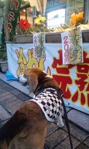 今年も七夕...