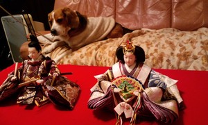 お雛様