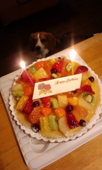ケーキは突然に...