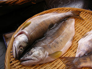 大あまごの干物