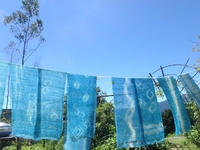 【静岡県内在住の方限定＊募集終了】８/２３（日）「夏の空色を染める　藍の生葉染め」