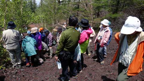 しずおかの文化体感ツアー 植物の富士登山