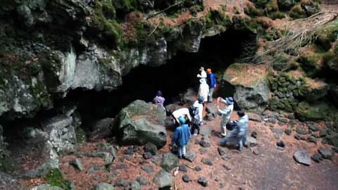 しずおかの文化体感ツアー 植物の富士登山
