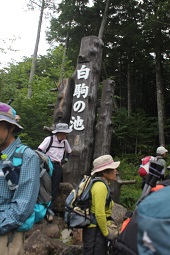 入山口(白駒の池) 入山口(白駒の池)