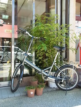 シンボルツリー