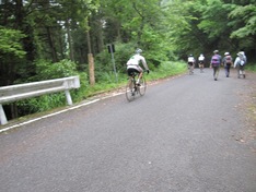 林道を走る自転車