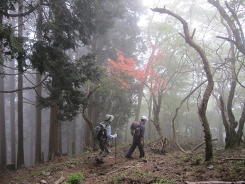霧の山頂
