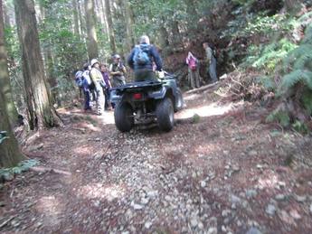 秋葉山表参道で