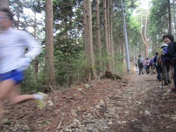 秋葉山表参道で