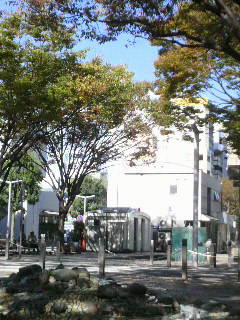 一度やってみたかった