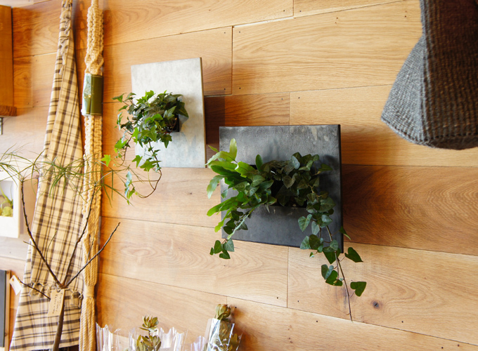 「green eco wall」入荷 「green eco wall」入荷