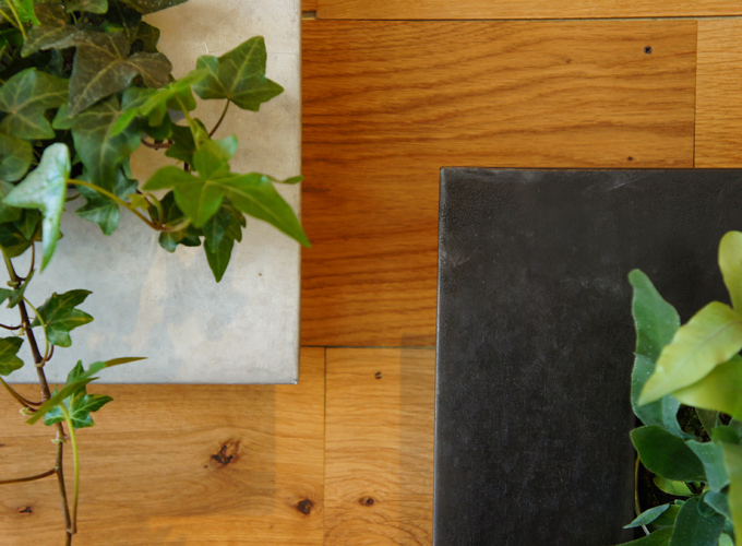 「green eco wall」入荷 「green eco wall」入荷