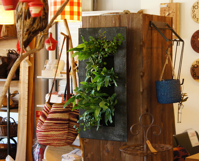 「green eco wall」入荷 「green eco wall」入荷