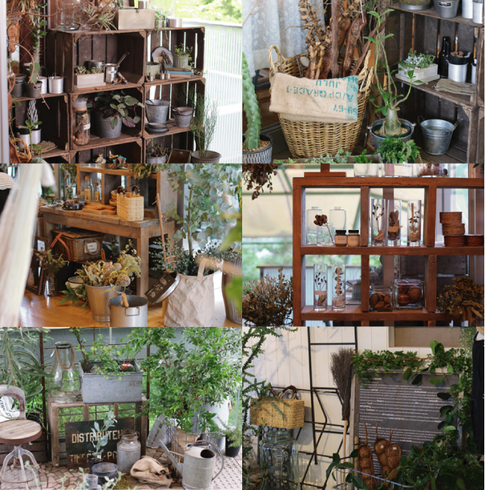 「HAMMOCK AND PLANTS」ご来場ありがとうございました! 「HAMMOCK AND PLANTS」ご来場ありがとうございました!