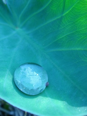 水滴